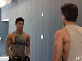 muscle new